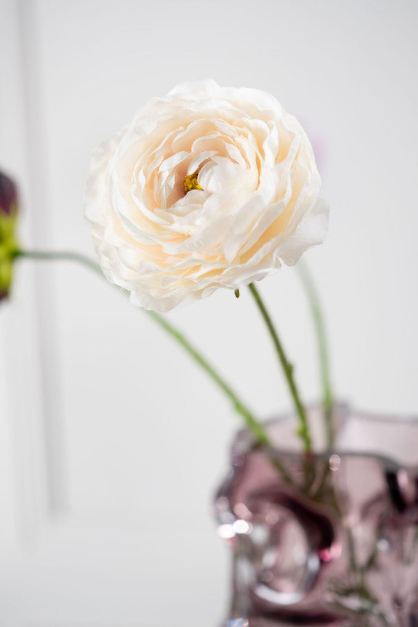 RENONCULE Pédoncule crème 55 cm