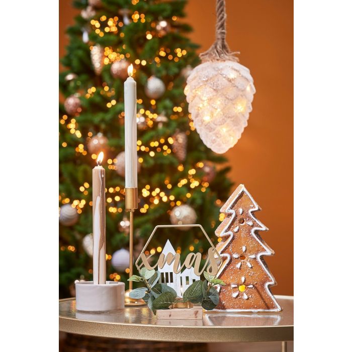 POMME DE PIN - blanc givré sur corde - D 15 cm