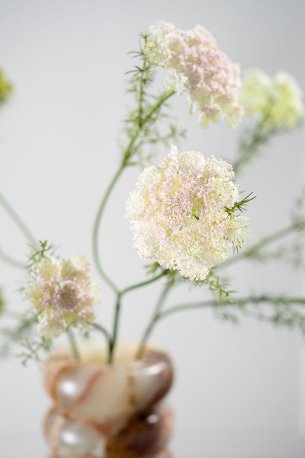 ANETH Ramifiée rose crème 74 cm