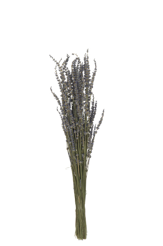 LAVANDE Bouquet séché mauve