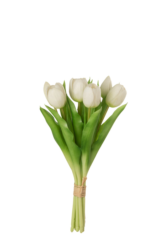 TULIPES - Bouquet 7 pieces blanc small