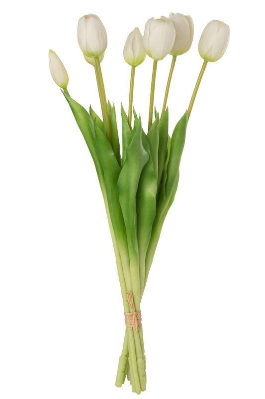 TULIPES - Bouquet 7 pieces blanc large