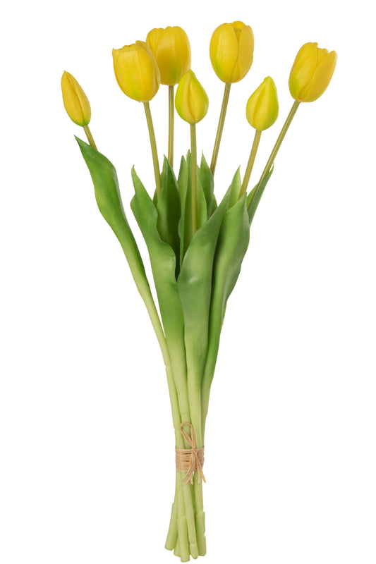 TULIPES - Bouquet 7 pieces jaune large