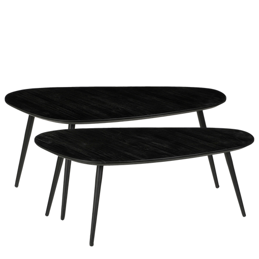 JAILEY - Table d'Appoint - Lot de 2 - Bois recyclé - Noir