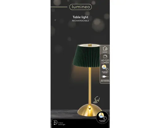 LED lampe de table VERT doré rechargeable fixe intérieur H30,5 cm