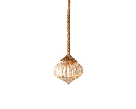 OIGNON - Suspension Micro LED fixe intérieur - D 20 cm