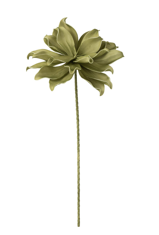 EVA - Fleur branche 1 tête vert