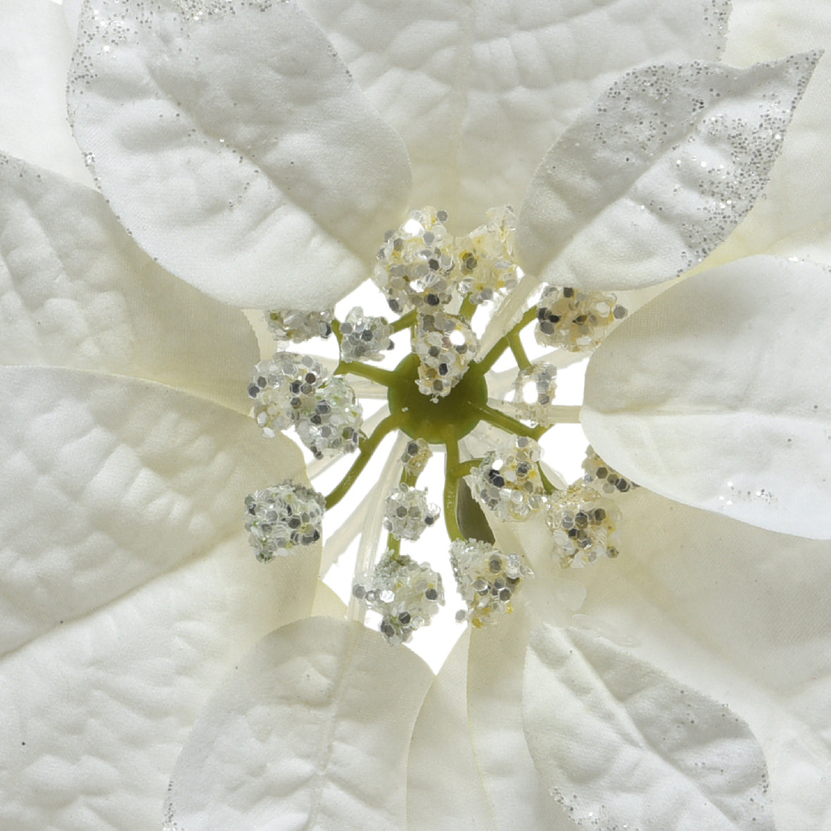 POINSETTIA blanche sur clip paillettes