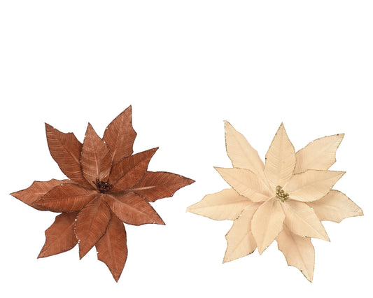 POINSETTIA sur clip velours polyester marron ou crème