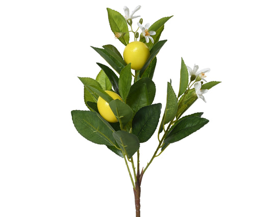 CITRON Branche feuilles et fleurs H58 cm