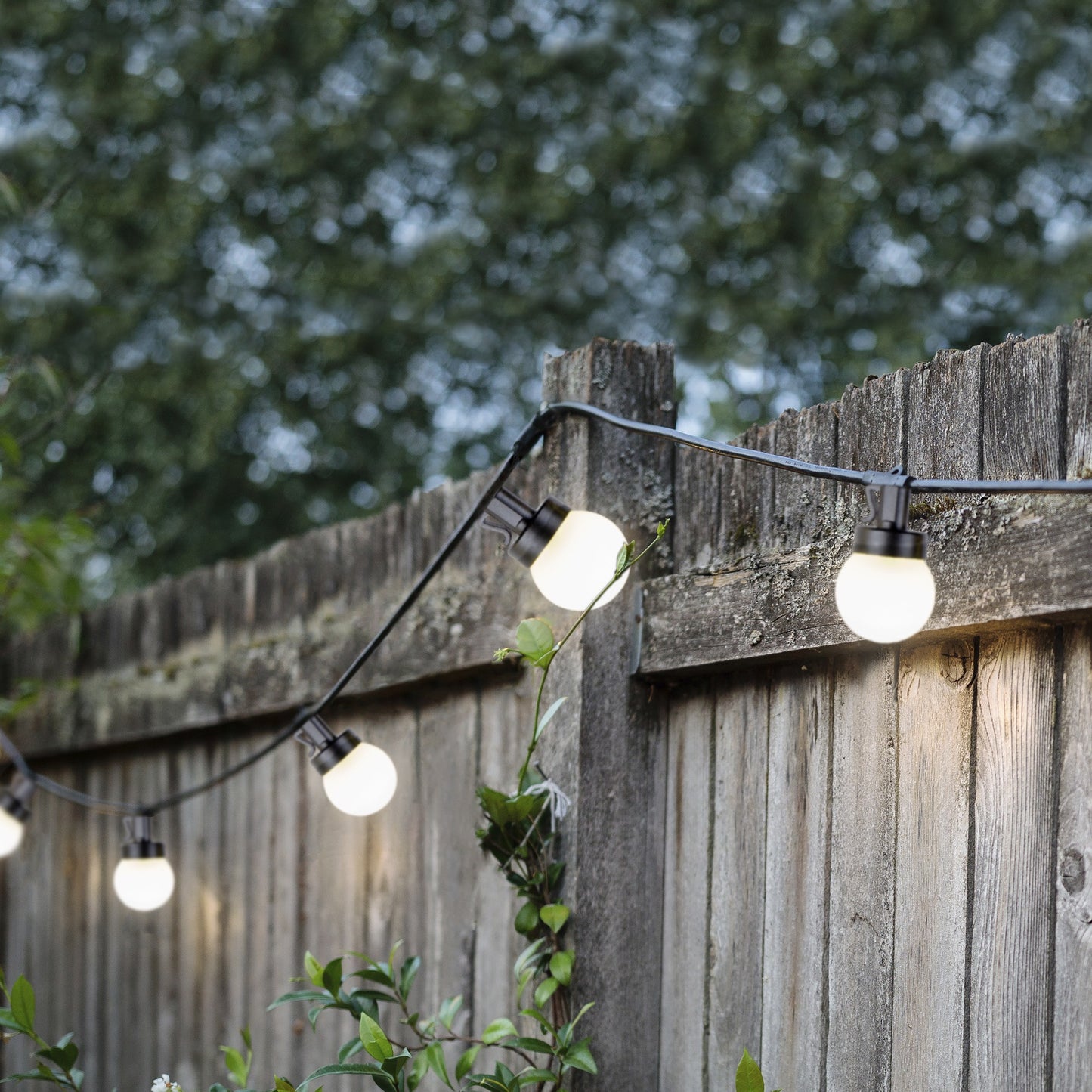 LED 50 lumières festives extérieur 7,35 m