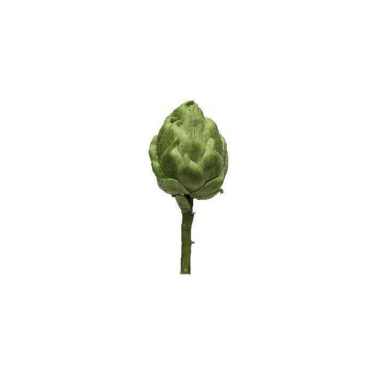 ARTICHAUD vert sur tige