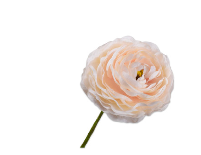 RENONCULE Pédoncule crème 55 cm