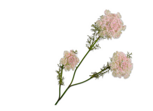 ANETH Ramifiée rose crème 74 cm