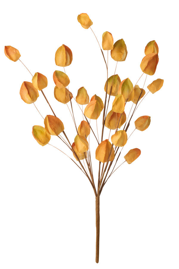 BAIE d'or jaune chaud