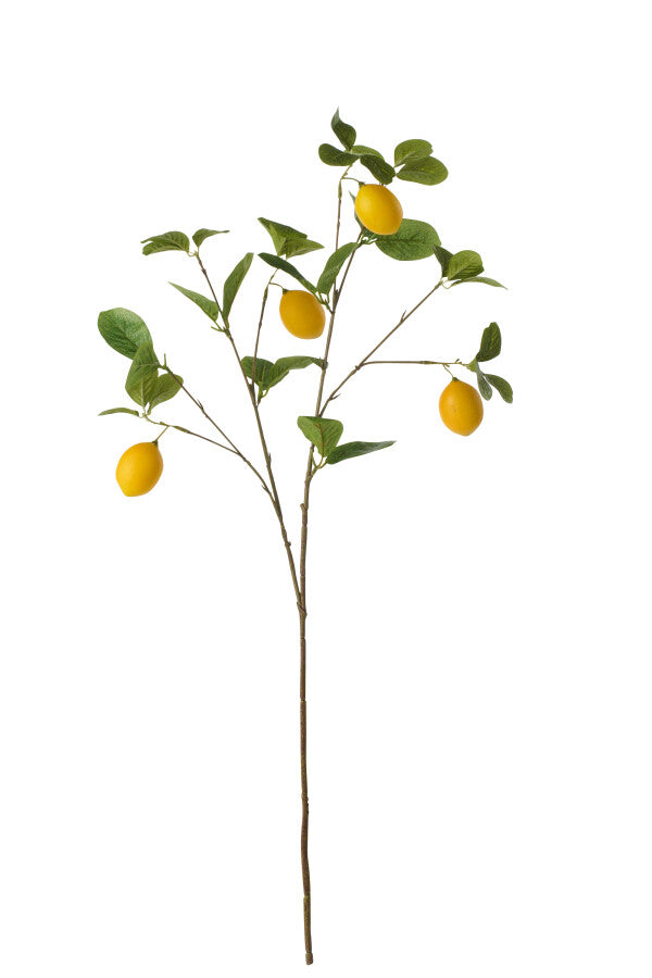 BRANCHE CITRONNIER textile vert jaune