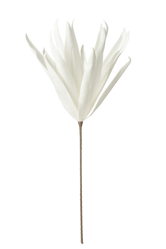 EVA - Fleur feuilles longues 1 tête blanche